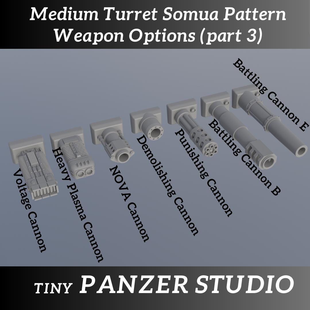 Extra Weapons for Somua type mounts